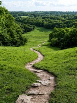 Winding path through a lush green landscape photo