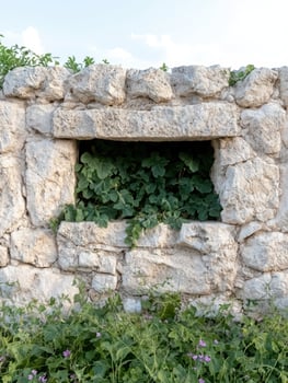 Stone wall with a window overgrown with greenery photo