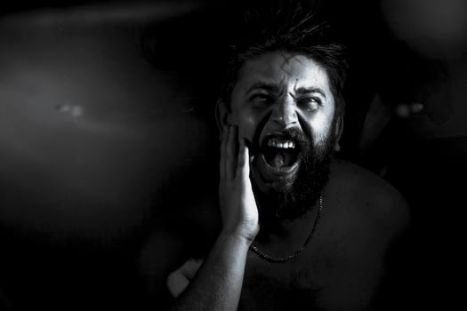 the man screams photo