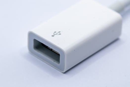 White USB-A to USB-B Adapter photo