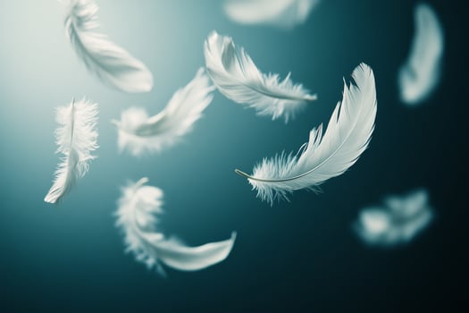 White feathers flying in the air on a dark background photo