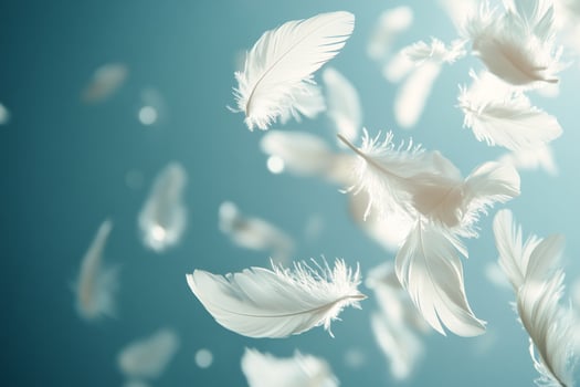 White feathers flying in the air on a blue background photo
