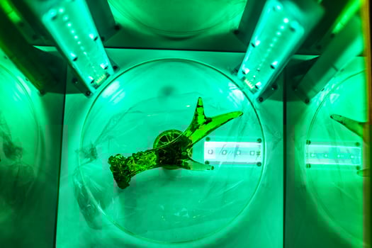 3d resin printing of a deer antler turning in a cure machine using UV light, business photo