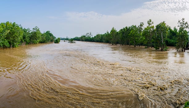 Overflowing Riverbanks Leading to Severe Flooding in Urban Area photo