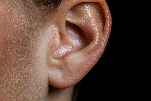 Close up of a human ear photo