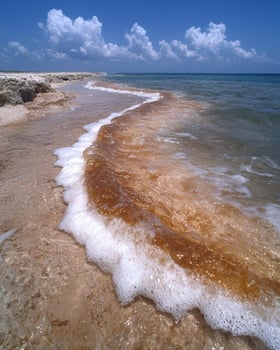 Waves washing onto a sandy beach on a sunny day photo