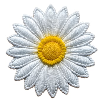 daisy flower isolated on white photo