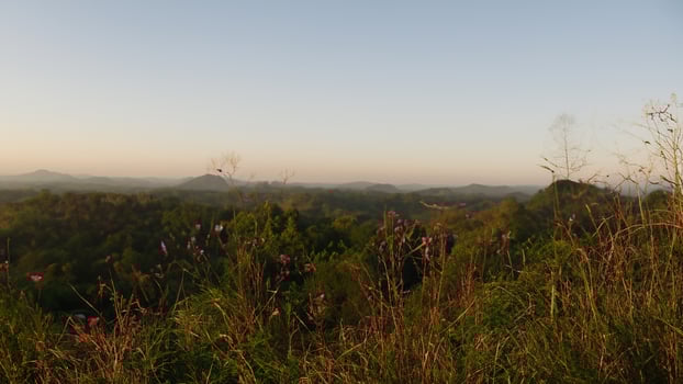 Sunrise over lush green hills, wildflowers foreground photo