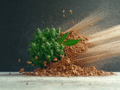 Cannabis bud with leaf and kief powder photo
