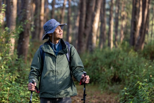 Asian hiker is using trekking pole while exploring in pine forest for surveying and discovering the rare biological diversity and ecologist on the field study photo
