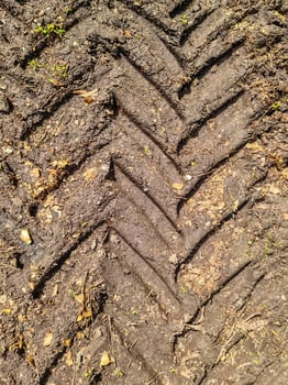 Tractor tire imprint creating deep tracks in mud on farmland photo