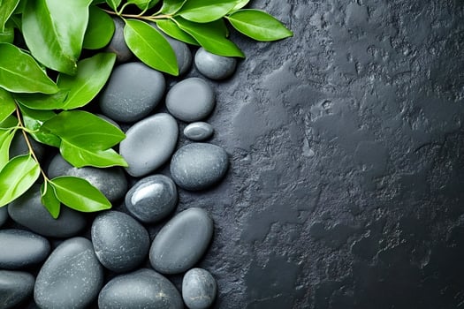 Green leaves touching grey spa stones on black background photo