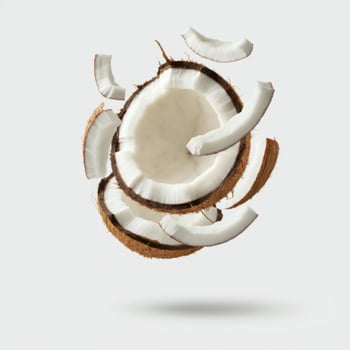 Neatly Cut Coconut Segments on Pristine White Base photo