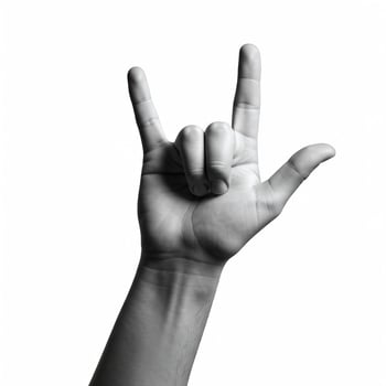 A hand with the rock sign is shown photo