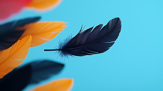 A black feather is flying in the air photo