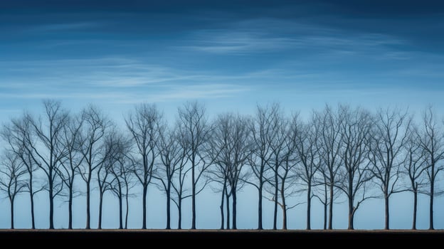 blue tree skyline photo