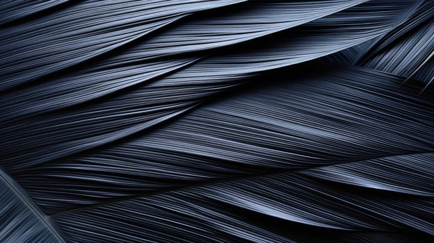 intricate black palm leaf photo