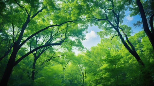 serene blue green background photo