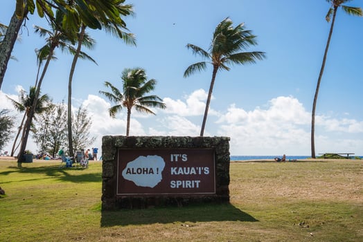 Grassy Area with Palm Trees and Kauai Welcome Sign in Hawaii photo