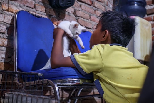 Young Boy Interacting with a Cute White Cat photo
