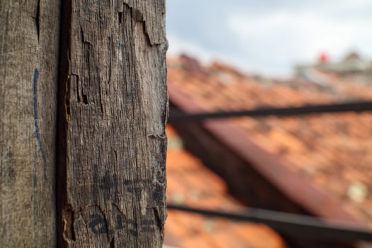 Close-Up of Weathered Wooden Post with Soft Urban Background photo