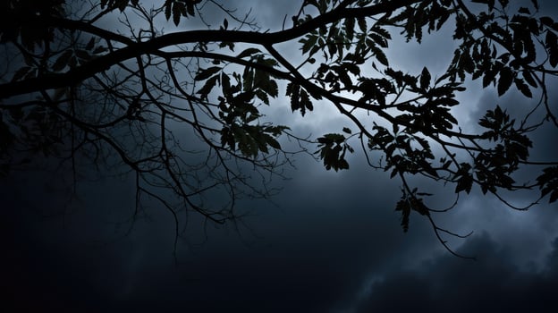 moody leaves silhouette photo