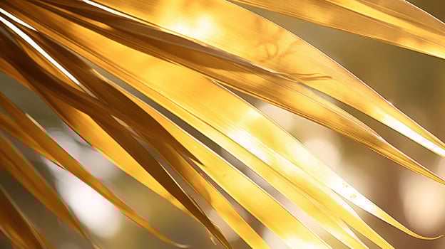 leaf gold palm photo
