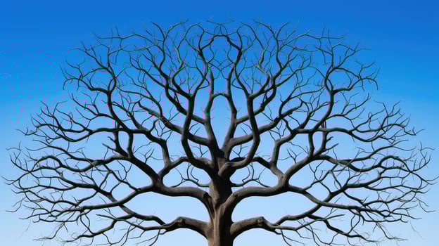 contrast geometric tree photo