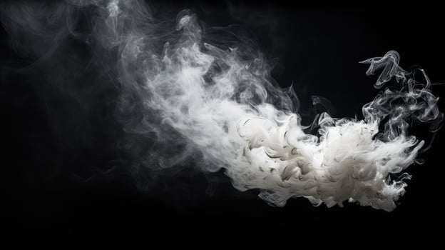 smoke chicken skewer black photo