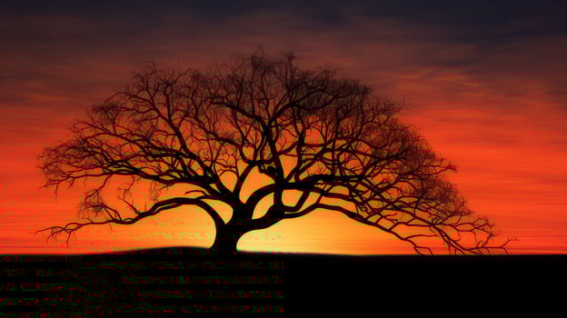 suntree black shapes photo