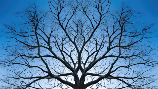 natural geometric tree photo