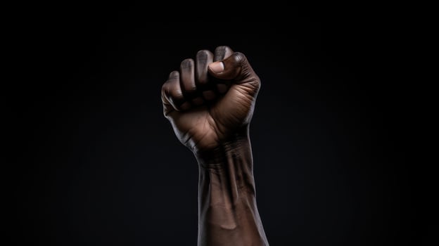 resistance black fists photo