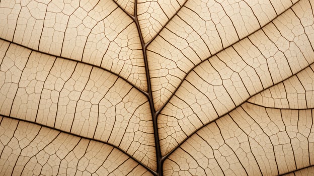 detail leaf print photo