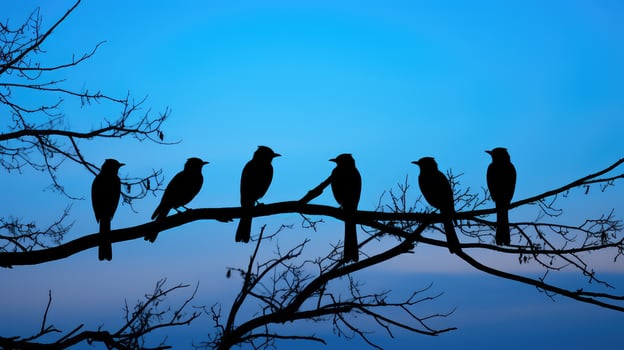 tree blue jay silhouette photo