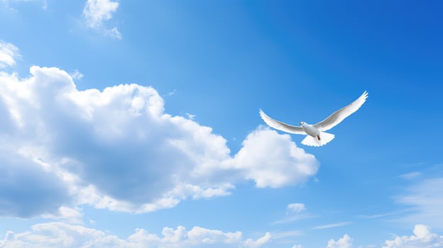 vastness blue sky white cloud photo