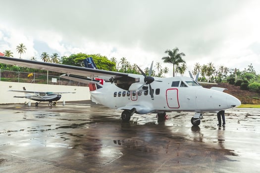 Aircraft parked on a tropical runway with palm trees in the background during an overcast day photo