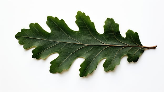 oak gift box bow photo