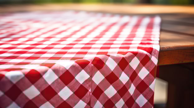 picnic red checkered table cloth photo