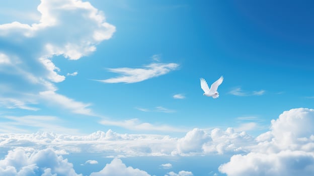 bird white clouds blue sky photo