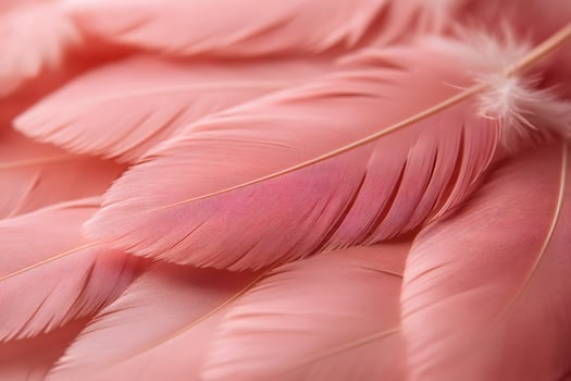 Soft Pink Feather Arrangement for Elegant Home Decor and Design Inspiration photo