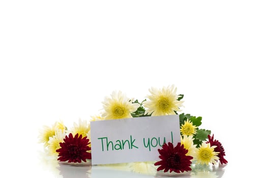 Festive bouquet. bouquet of yellow and burgundy chrysanthemums isolated on white background photo