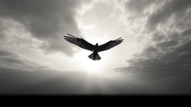 sunwings sky black and white photo