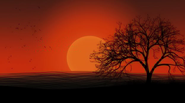 contrast orange backround photo