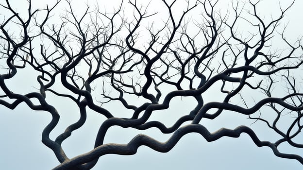 branches geometric trees photo
