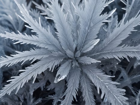 A macro shot of frost crystals, emphasizing the delicate and ornate patterns that form across the surface. photo