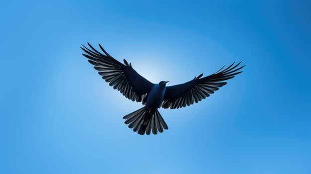 sky back lit blue background photo