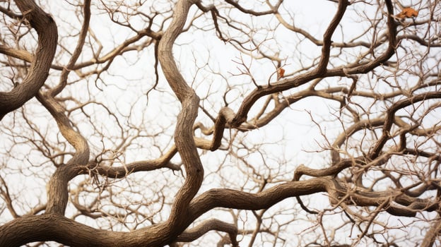 network tree close up photo