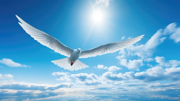 soar sky cloud blue photo