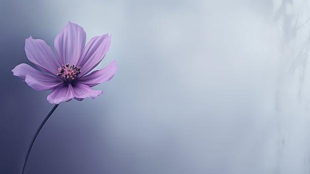 seamless grey and purple background photo