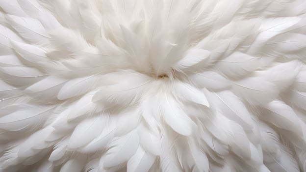 symmetry white feathers background photo